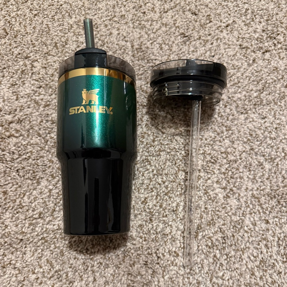 Stanley x Wicked 20 oz Elphaba tumbler with Amazon lid (similar to Pro Tour lid)